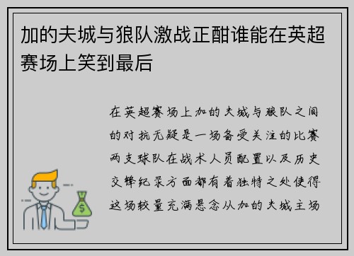 加的夫城与狼队激战正酣谁能在英超赛场上笑到最后